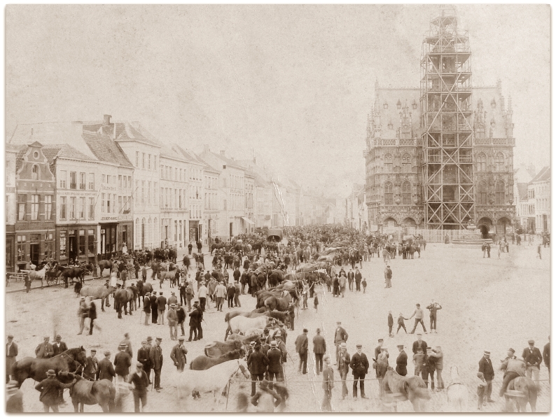 grote_markt (77)